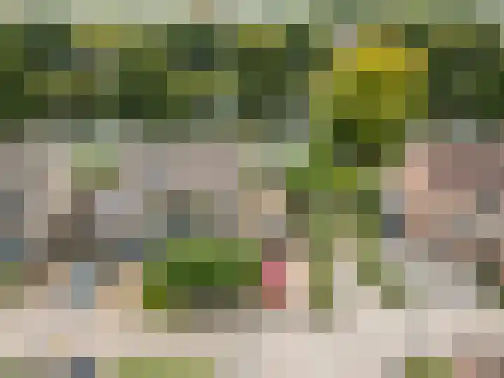 Tjalk 30 73 Lelystad