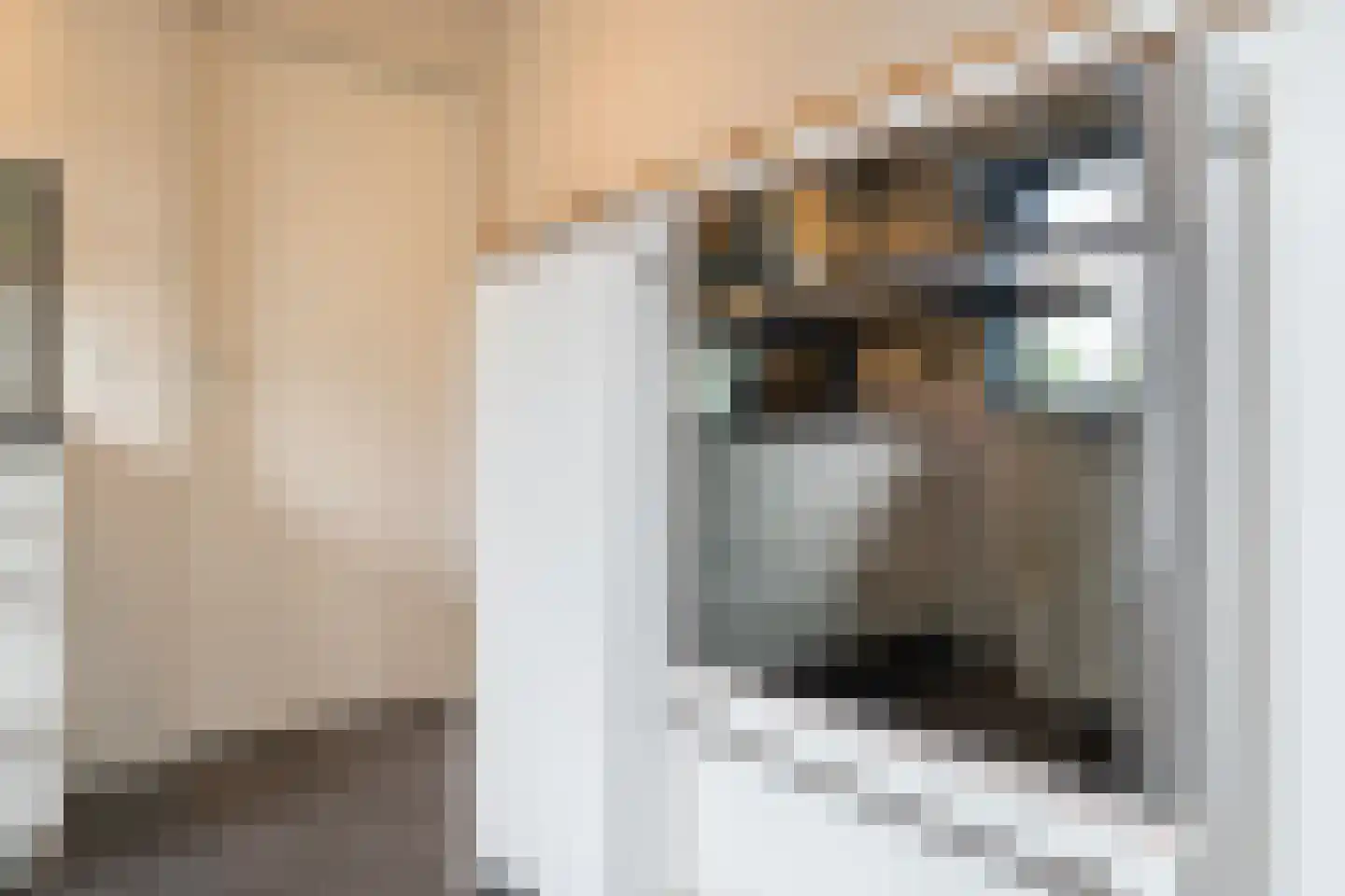 Tjalk 30 Kropswolde thumbnail 15