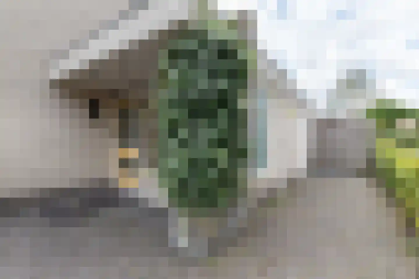 Tjalk 30 Zuidhorn thumbnail 42
