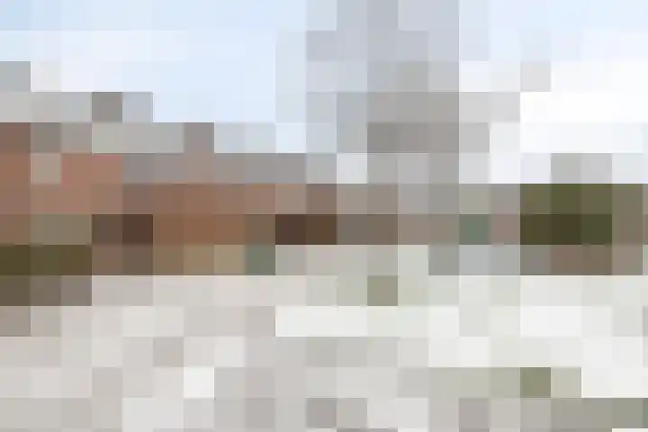 Tjalk 31 31 17 Lelystad thumbnail 22