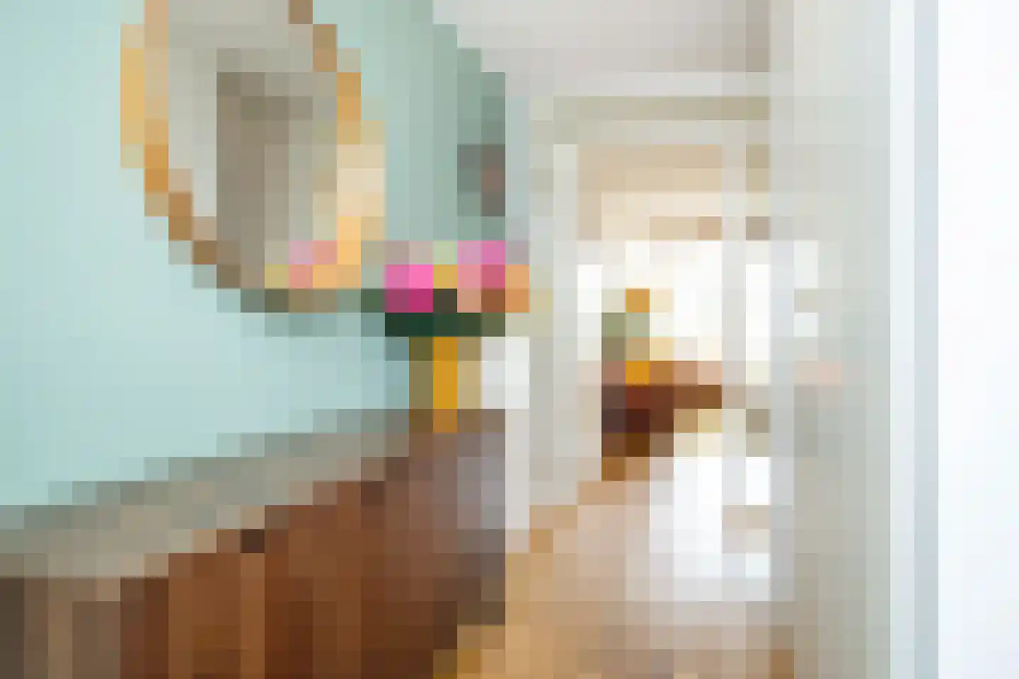 Tjalk 31 Honselersdijk thumbnail 6