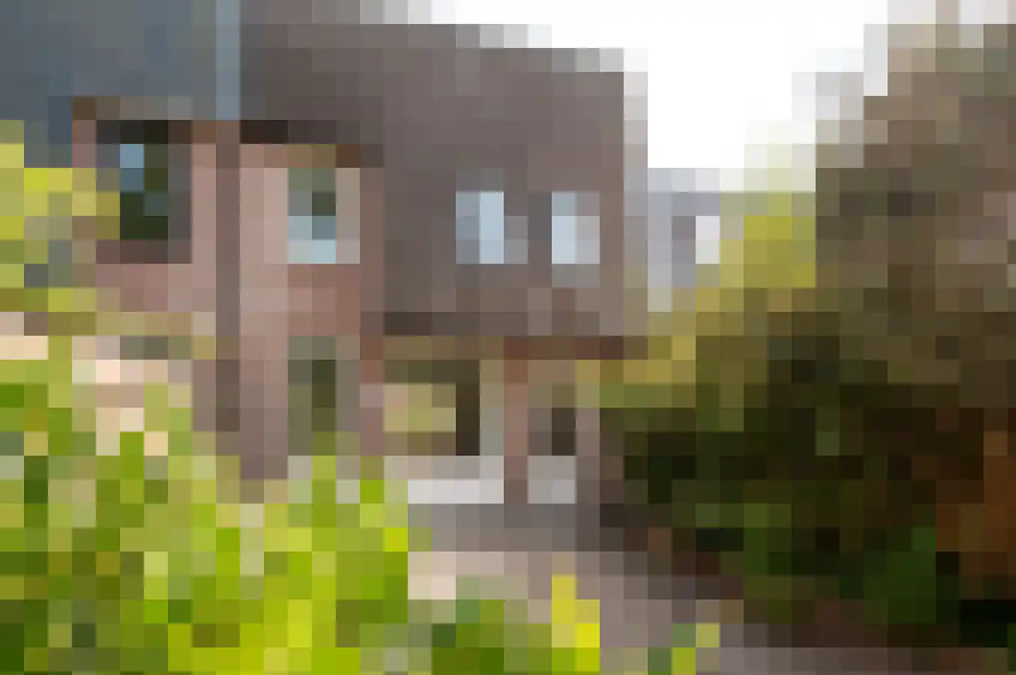 Tjalk 33 3 Lelystad thumbnail 31