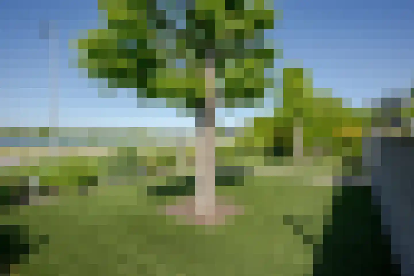 Tjalk 34 Alphen aan den Rijn thumbnail 37