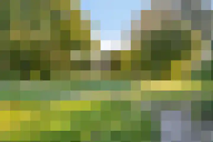 Tjalk 36 27 Lelystad thumbnail 35