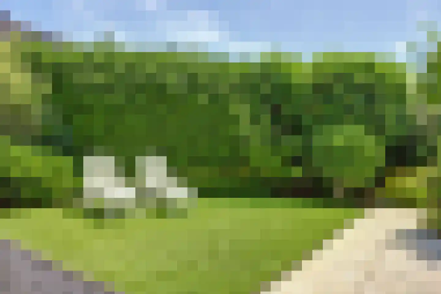 Tjalk 36 Broek op Langedijk thumbnail 43