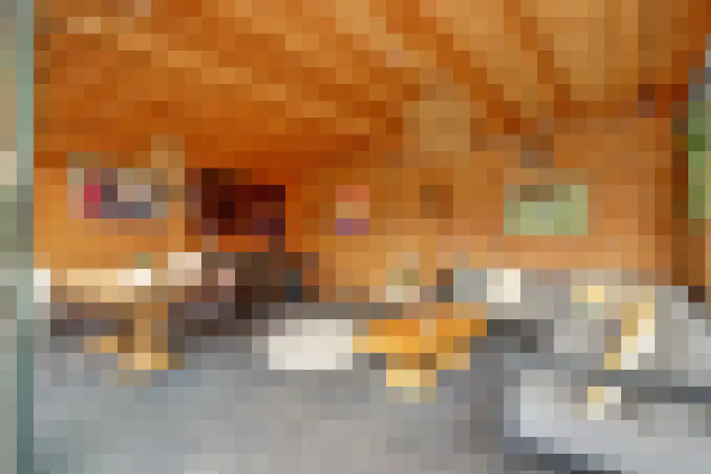 Tjalk 36 Broek op Langedijk thumbnail 48
