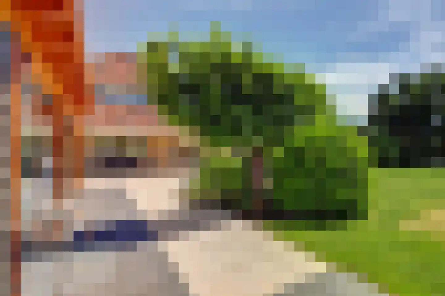 Tjalk 36 Broek op Langedijk thumbnail 52