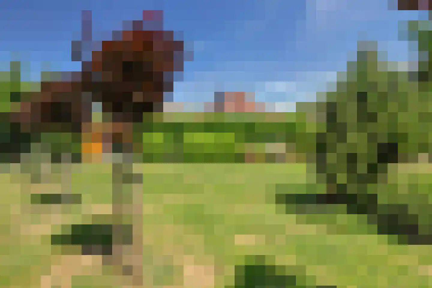 Tjalk 36 Broek op Langedijk thumbnail 57