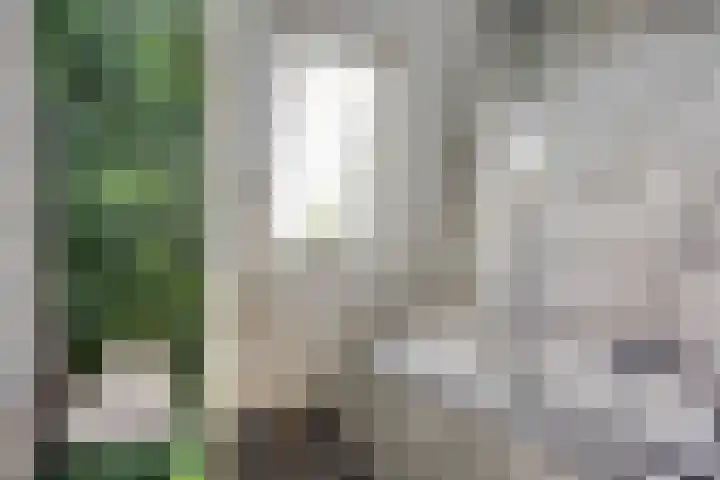 Tjalk 38 38 60 Lelystad thumbnail 37
