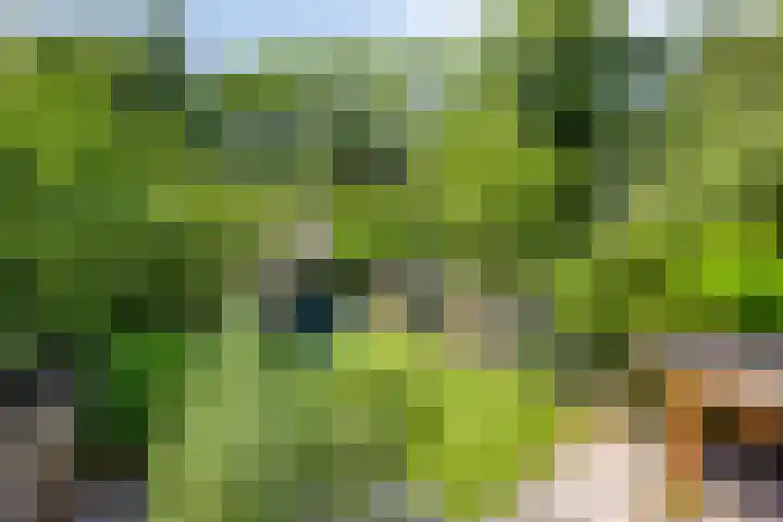 Tjalk 38 38 60 Lelystad thumbnail 51