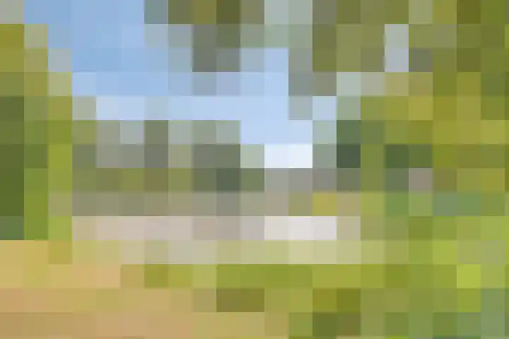Tjalk 38 38 60 Lelystad thumbnail 56