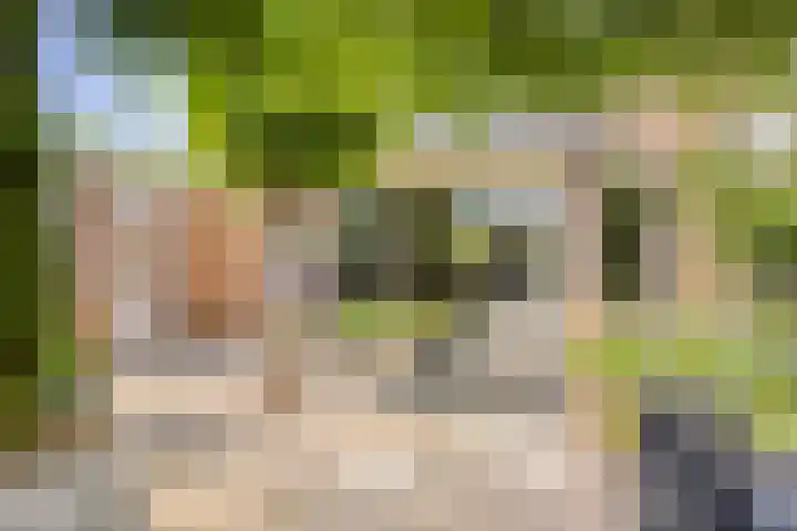 Tjalk 38 60 Lelystad thumbnail 40