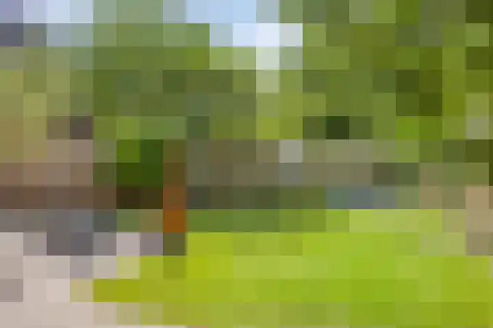 Tjalk 38 60 Lelystad thumbnail 46