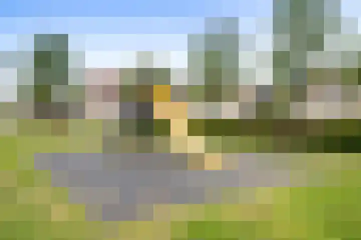 Tjalk 38 Etten-Leur thumbnail 56