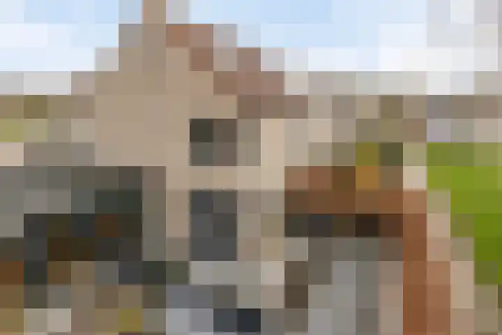 Tjalk 38 Etten-Leur thumbnail 6