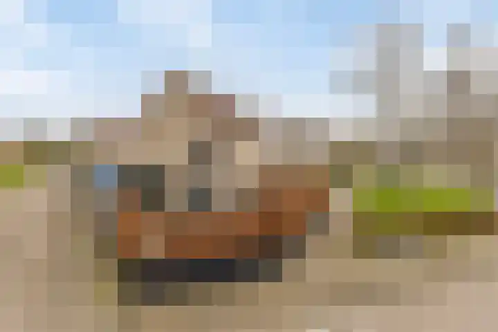 Tjalk 38 Etten-Leur thumbnail 7