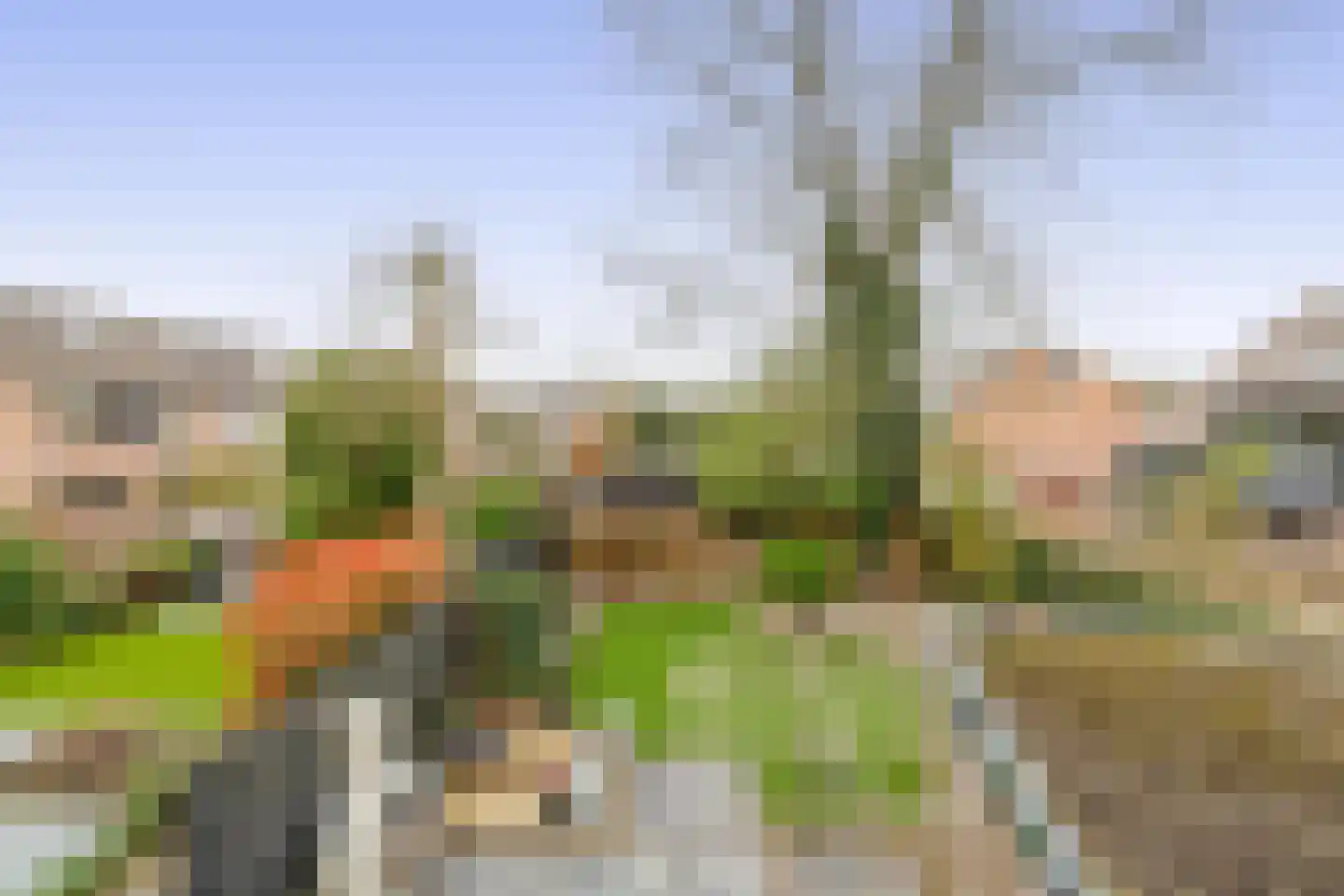 Tjalk 39 Loosdrecht thumbnail 24