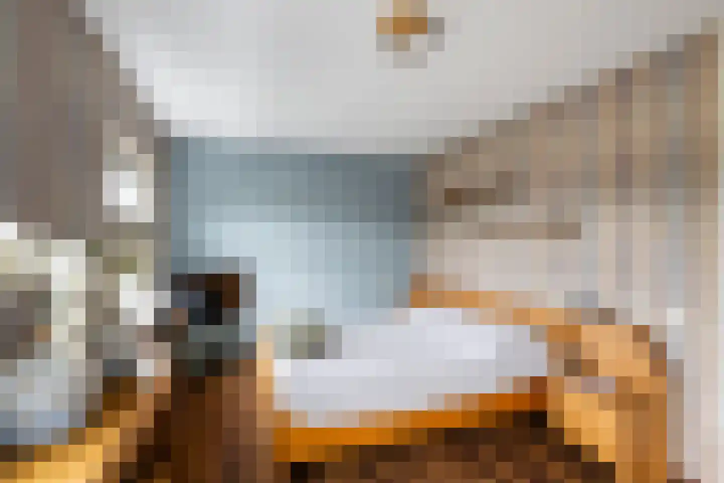 Tjalk 4 Honselersdijk thumbnail 24