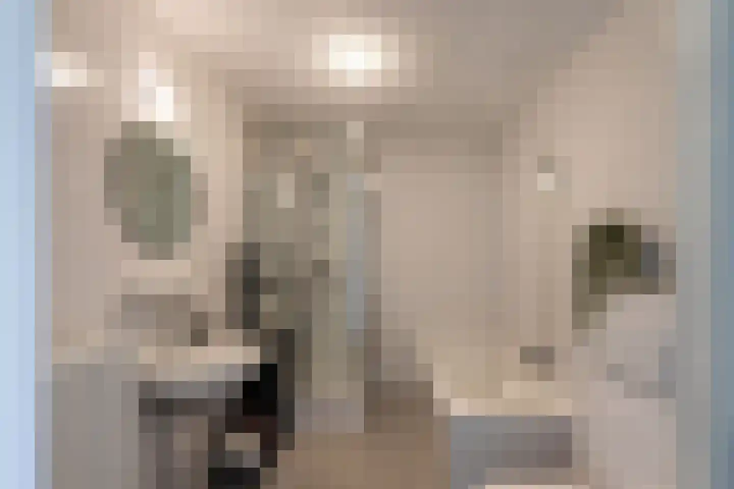 Tjalk 4 Honselersdijk thumbnail 26