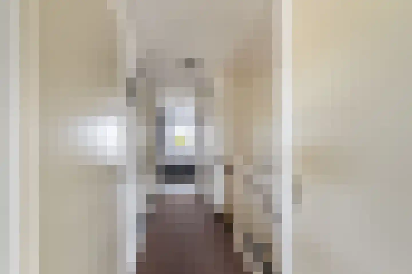 Tjalk 4 Honselersdijk thumbnail 28