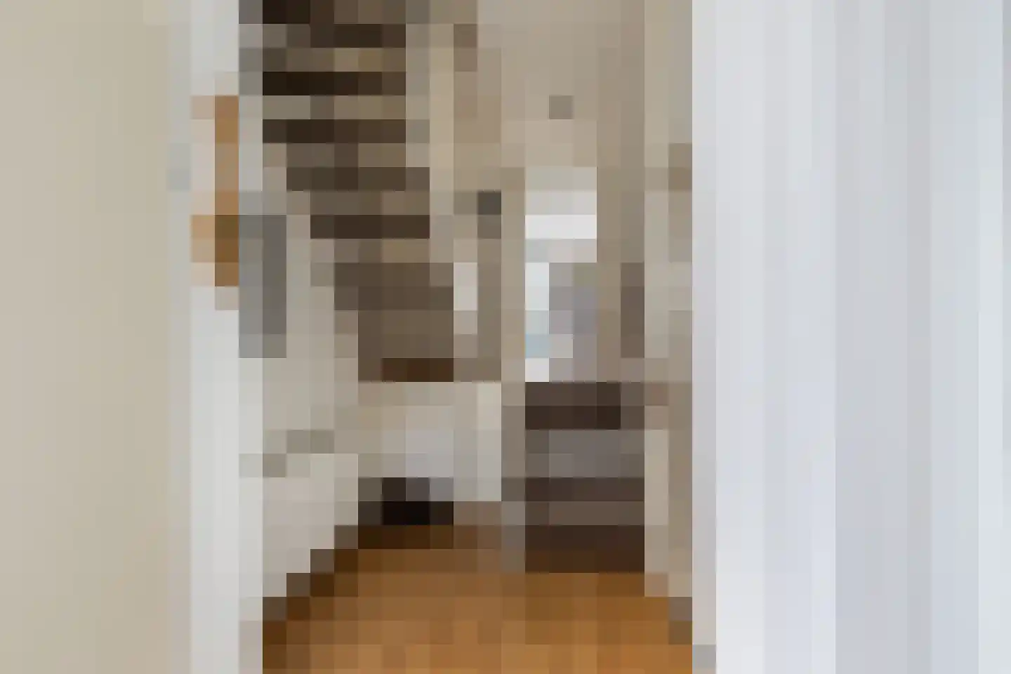 Tjalk 4 Honselersdijk thumbnail 5
