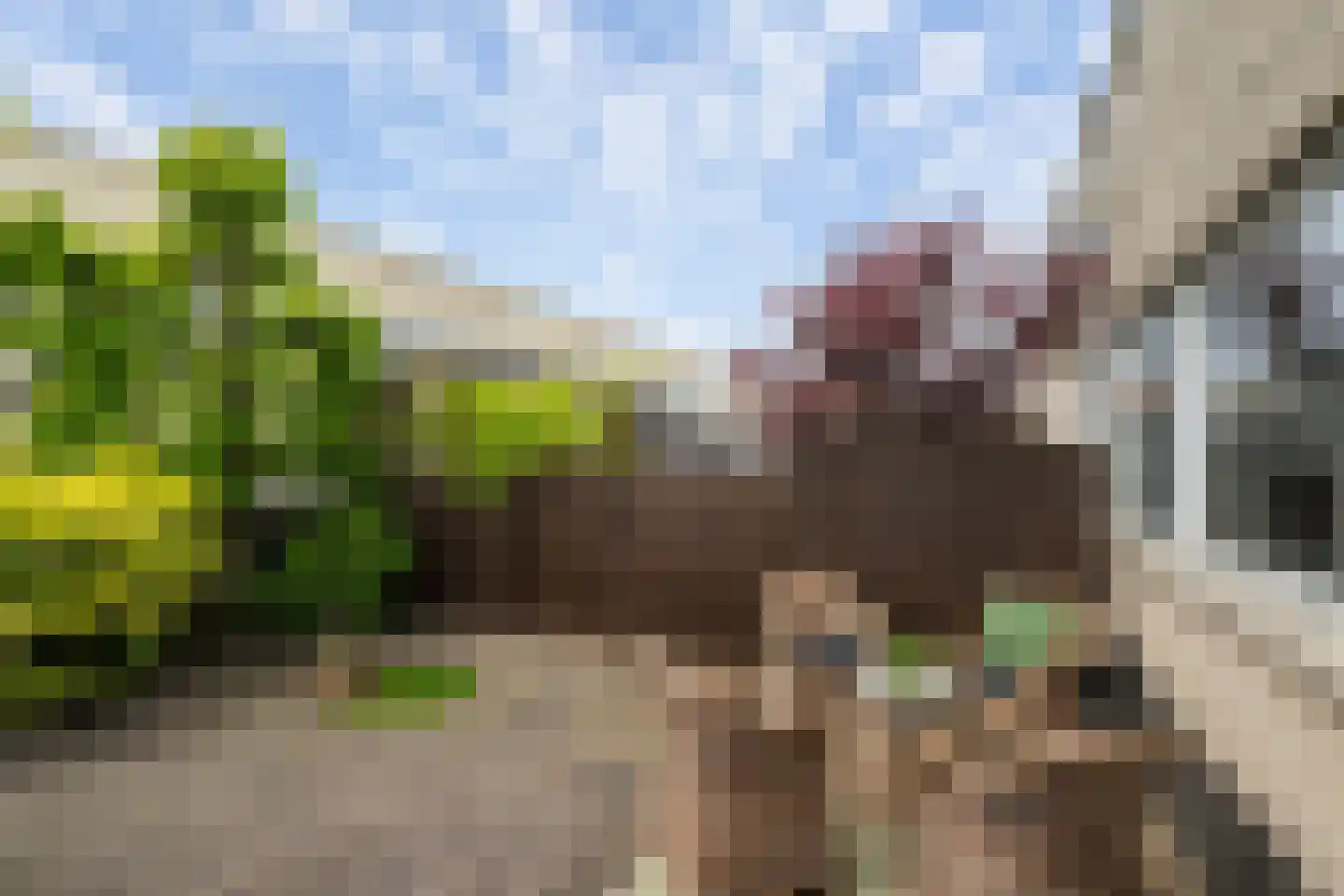 Tjalk 4 Honselersdijk thumbnail 9