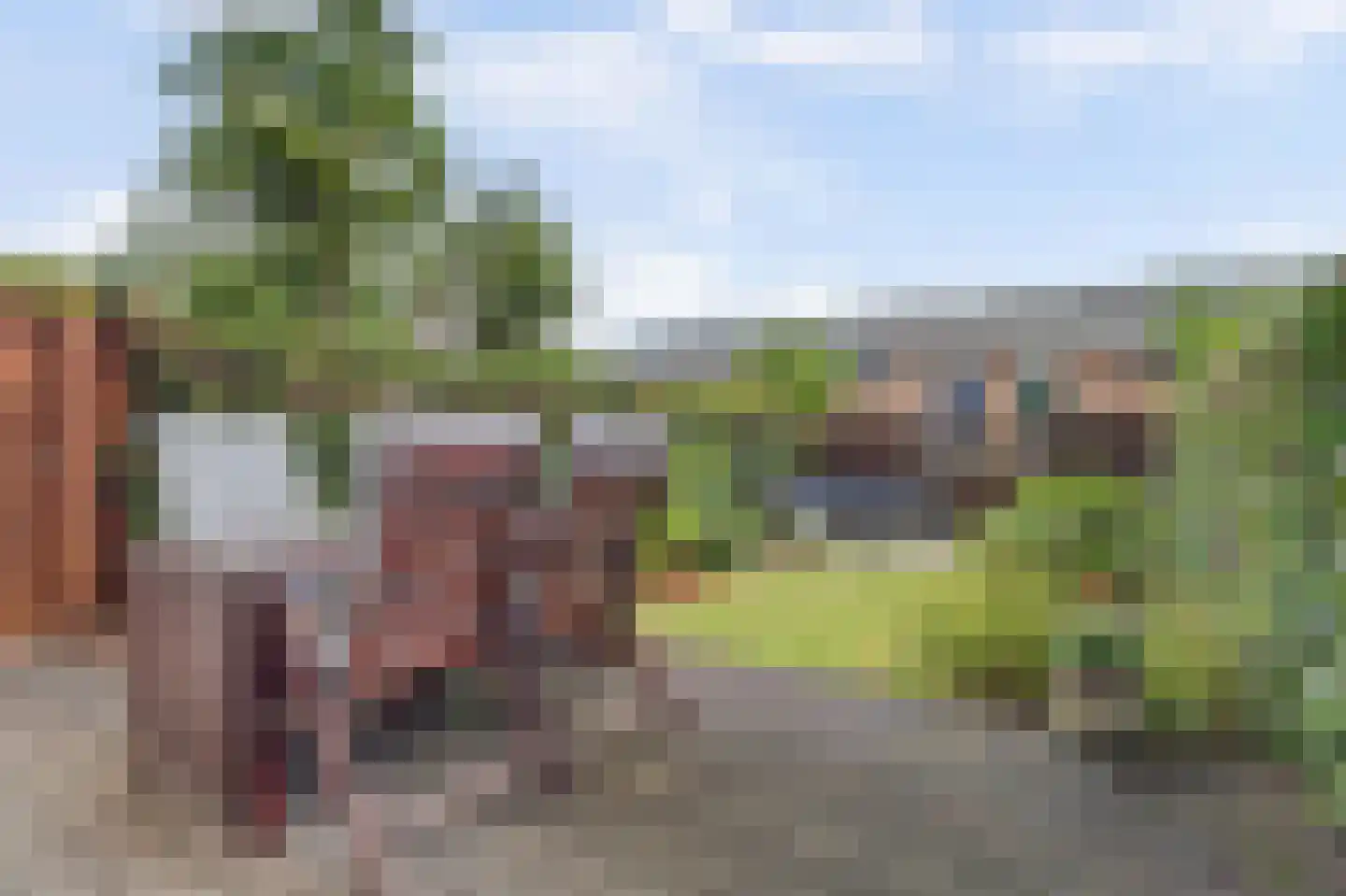 Tjalk 4 Schiedam thumbnail 27