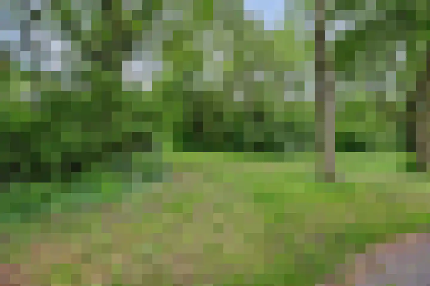 Tjalk 4 Schiedam thumbnail 42