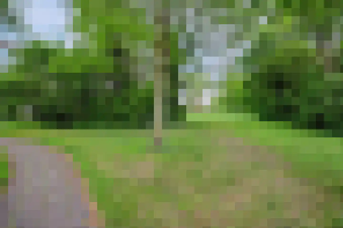 Tjalk 4 Schiedam thumbnail 43