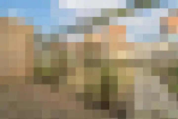 Tjalk 4 Sint-Annaland thumbnail 40