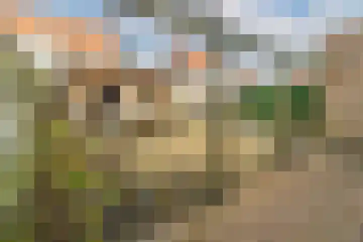 Tjalk 4 Sint-Annaland thumbnail 41
