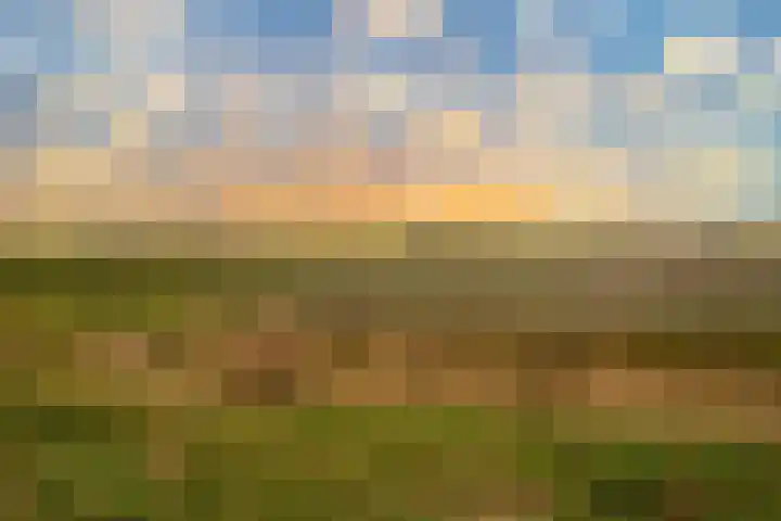 Tjalk 4 Sint-Annaland thumbnail 51
