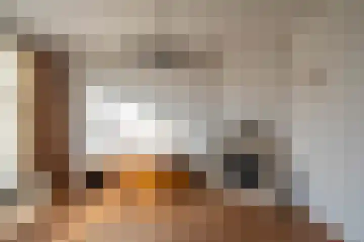 Tjalk 4 Sint-Annaland thumbnail 9