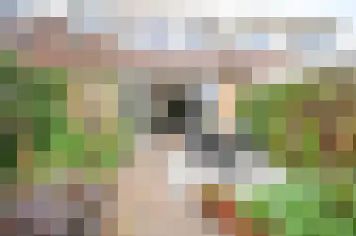 Tjalk 4 Velserbroek thumbnail 13