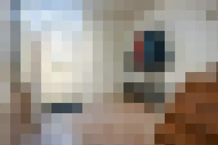 Tjalk 4 Velserbroek thumbnail 16