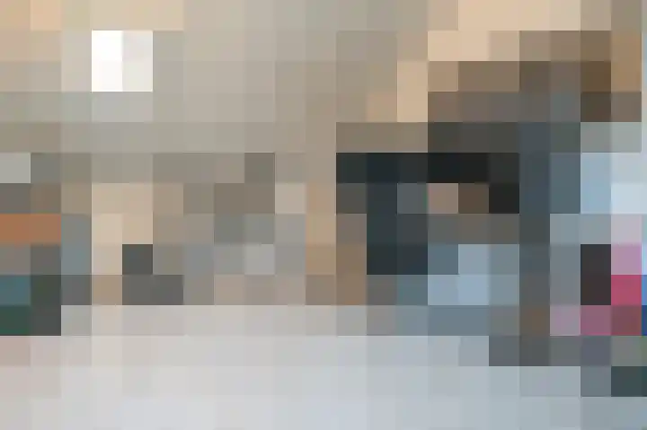 Tjalk 4 Velserbroek thumbnail 28
