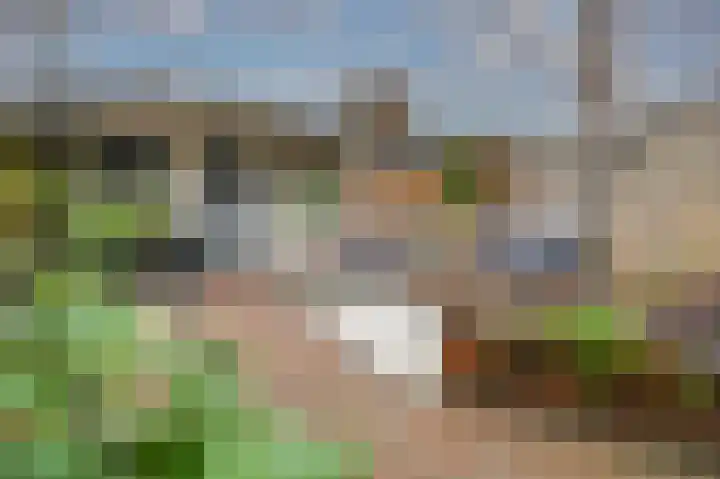 Tjalk 4 Velserbroek thumbnail 31