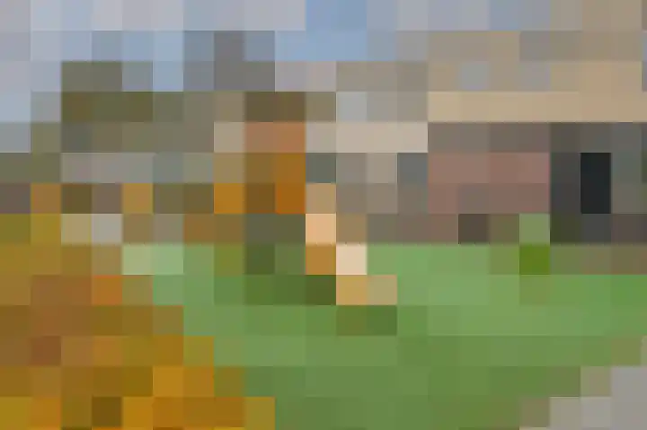 Tjalk 4 Velserbroek thumbnail 37