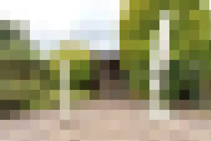 Tjalk 4 Zuidhorn thumbnail 23
