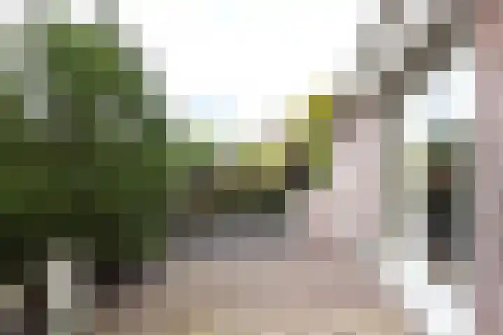 Tjalk 4 Zuidhorn thumbnail 24