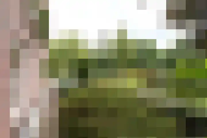 Tjalk 4 Zuidhorn thumbnail 25