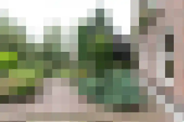 Tjalk 4 Zuidhorn thumbnail 26