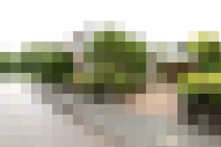 Tjalk 4 Zuidhorn thumbnail 4