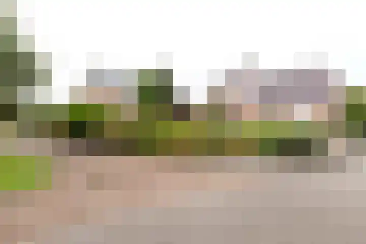 Tjalk 4 Zuidhorn thumbnail 40