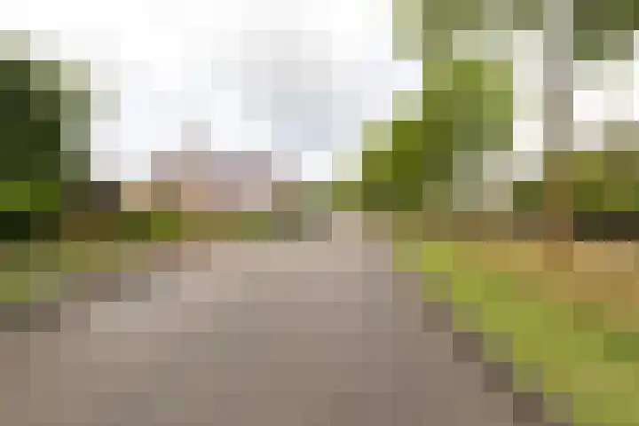 Tjalk 4 Zuidhorn thumbnail 41