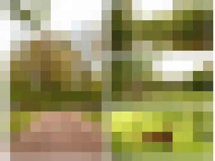 Tjalk 4 Zuidhorn thumbnail 42