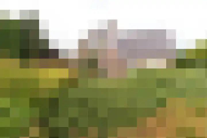 Tjalk 4 Zuidhorn thumbnail 5