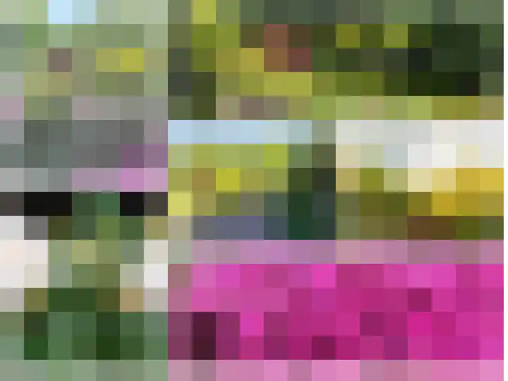 Tjalk 4 Zuidhorn thumbnail 7