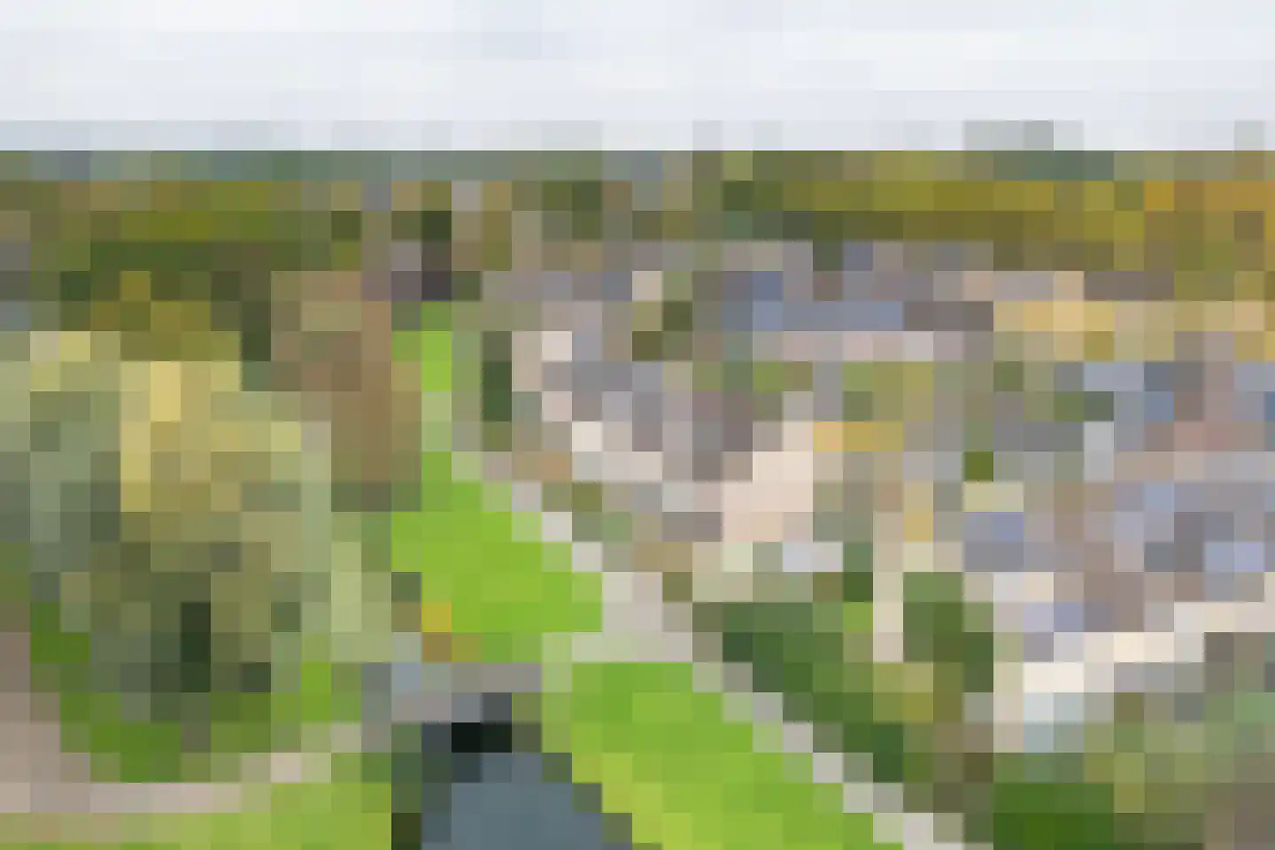 Tjalk 40 Barendrecht thumbnail 34