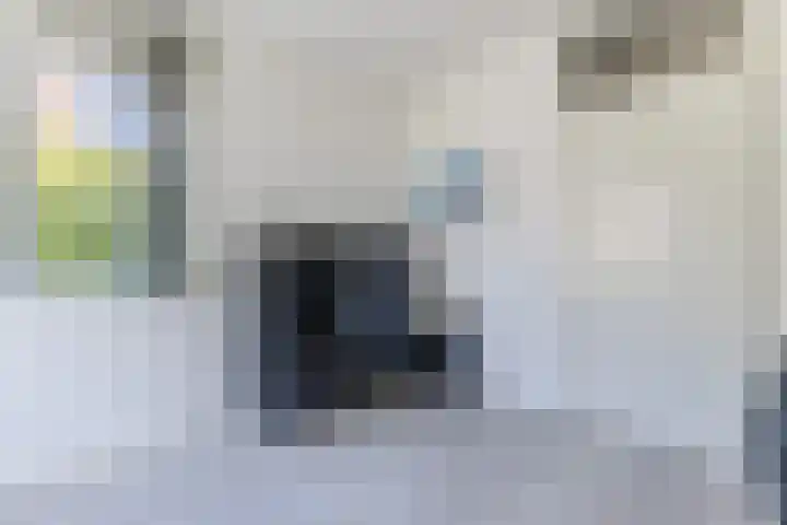 Tjalk 40 Broek op Langedijk thumbnail 17